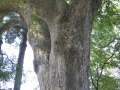 P1120503