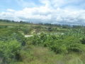 P1050043