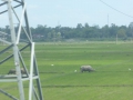 P1050047