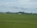P1050048