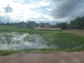 P1050062