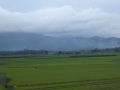 P1050102