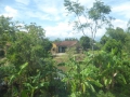 P1050852