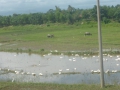 P1050864