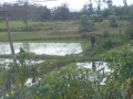 P1050889
