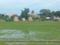 P1050907