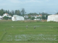 P1050919