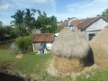 P1050934