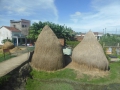 P1050936