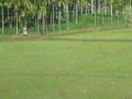 P1050987