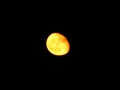 P1020868
