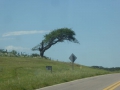 P1370030