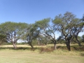 P1370049