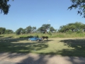 P1370072