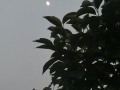 P1250883