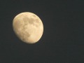 P1250891