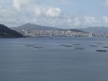 P1130066