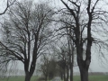 P1160206