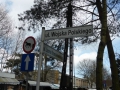 P1090097.jpg