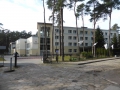 P1090136.jpg