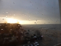 P1090155.jpg