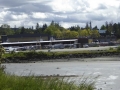 P1050392