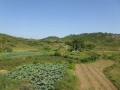 P1020024