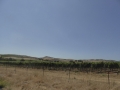 P1130620