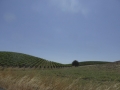 P1130624