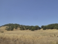 P1130634