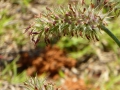 P1120384