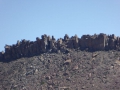 P1070007