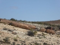 P1070033