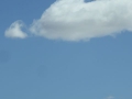 P1330545