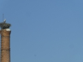 P1160863