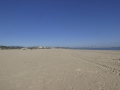 P1160905