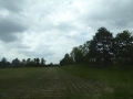 P1160659