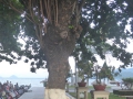 P1050171