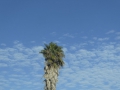 P1170221