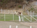 P1230986