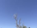 P1110995