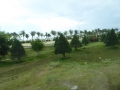 P1050330