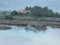 P1050351