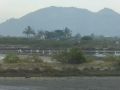 P1050353