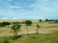 P1050389