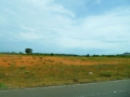 P1050392