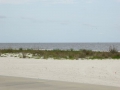 P1120901