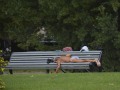 DSC_9607