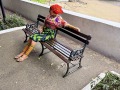 IMG_7520
