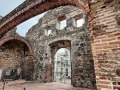 IMG_7528